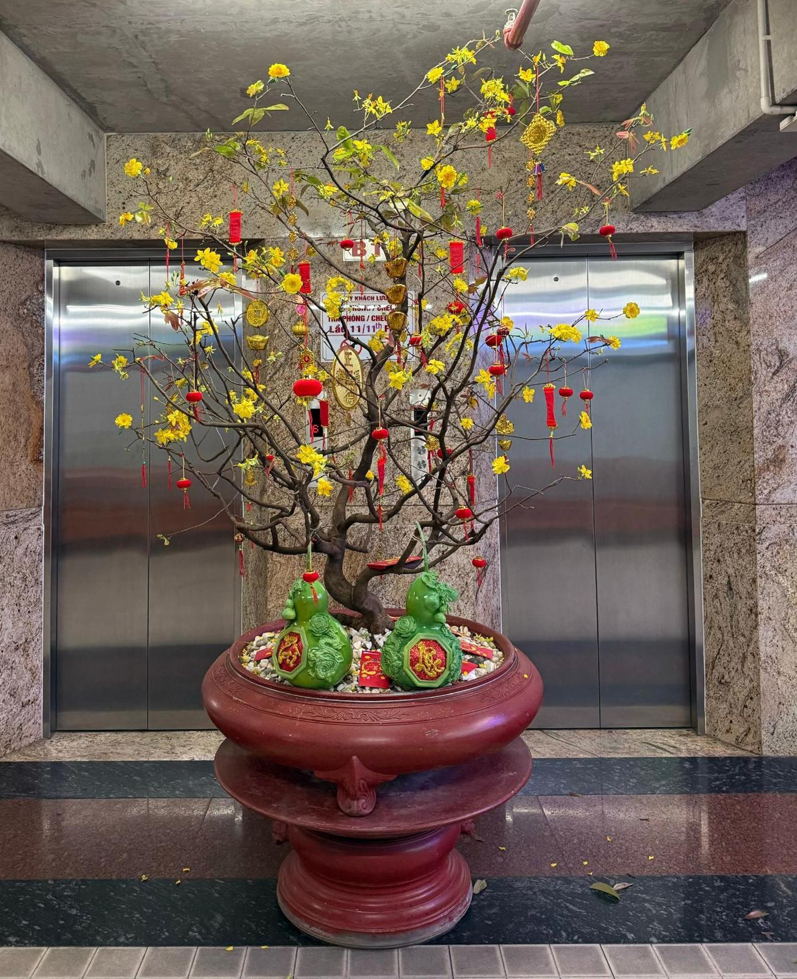 Thien Tai Hotel ホーチミン市 エクステリア 写真